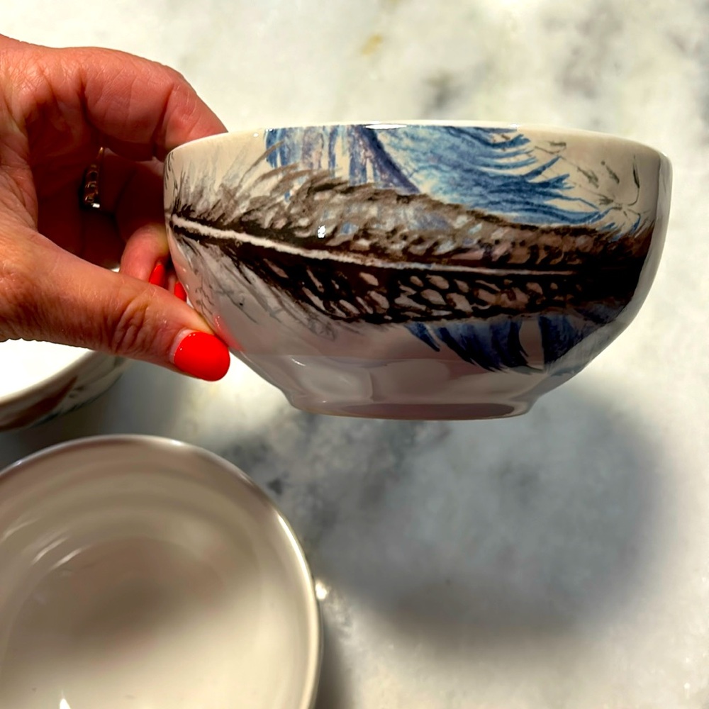 Set Of 4 Pier 1 porcelain feather bowls